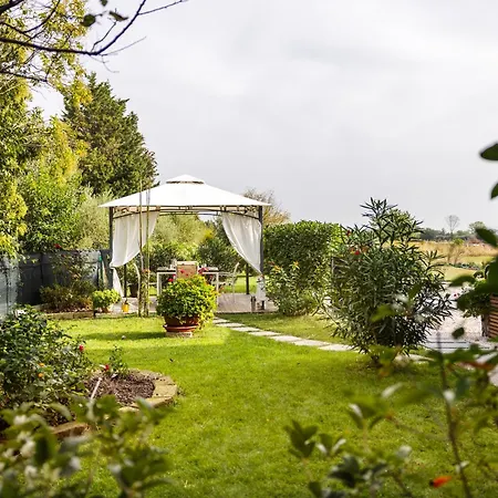 Il Noce 2 * Misano Adriatico