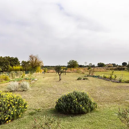 Il Noce 2 Appartement