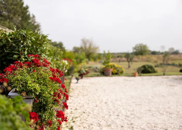 Il Noce 2 Misano Adriatico