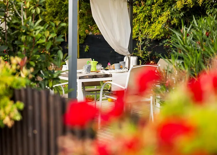 Il Noce 2 Misano Adriatico