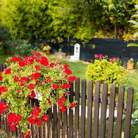 公寓 Il Noce 2 米萨诺阿德里亚蒂科