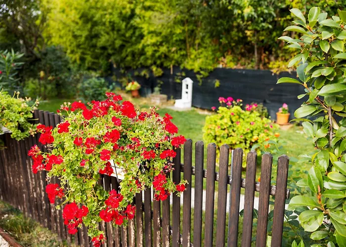 Apartament Il Noce 2 Misano Adriatico