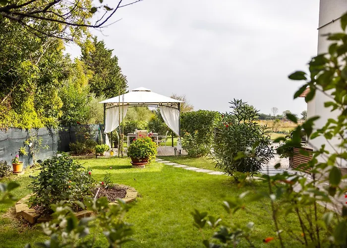 Il Noce 2 * Misano Adriatico