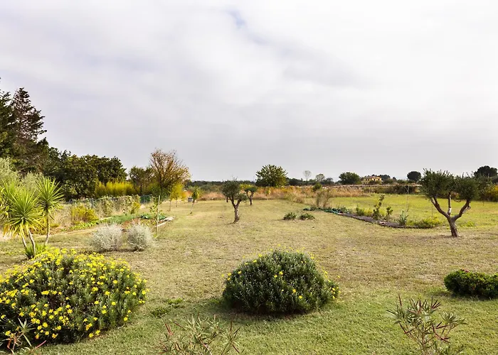 Il Noce 2 Apartament